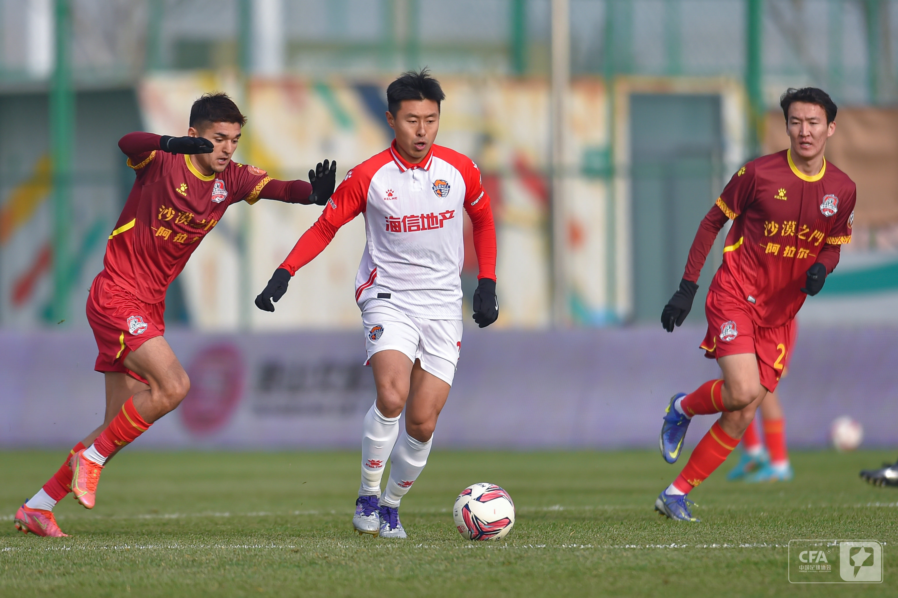 植于本地 植于本地